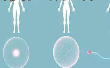 2026年国内无结婚证如何做试管？常德市第一人民医院可以做吗？