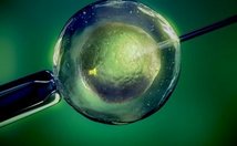 安徽省立医院做试管好的医生有哪些？附安徽省立医院试管婴儿费用明细