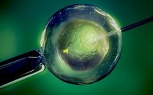 香港三代试管和二代试管费用相差多少(香港试管能选胚胎生孩子吗)