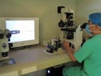 广西人民医院做试管婴儿单周期要多少钱？