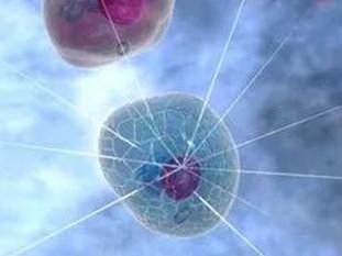 43岁做试管婴儿移植经过PGT筛查后的囊胚畸形率高吗？