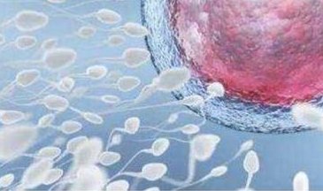 2026杭州试管助孕医院排名公开！助孕生孩子需要满足什么条件？