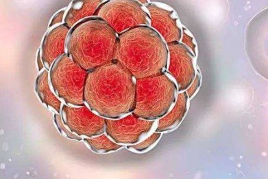 2026年没有精子去深圳恒生医院做精子试管可以吗？详细费用是怎么样的？