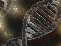 马来西亚做第三代试管婴儿费用要多少钱？会很贵吗？